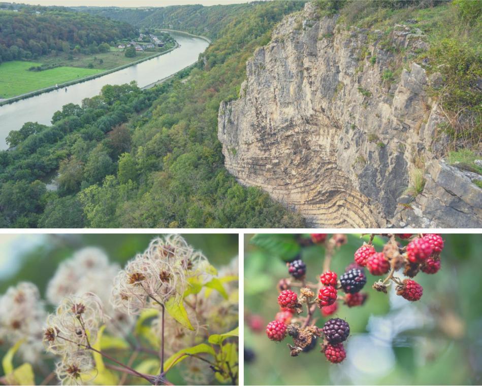Laissez-Vous Enchanter Par La Vallee De La Meuse Hastiere-par-dela Exterior foto